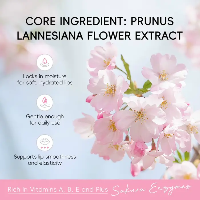 1/2/3 pièces BIOAQUA Sakura rouge à lèvres fleur de cerisier hydratant baume